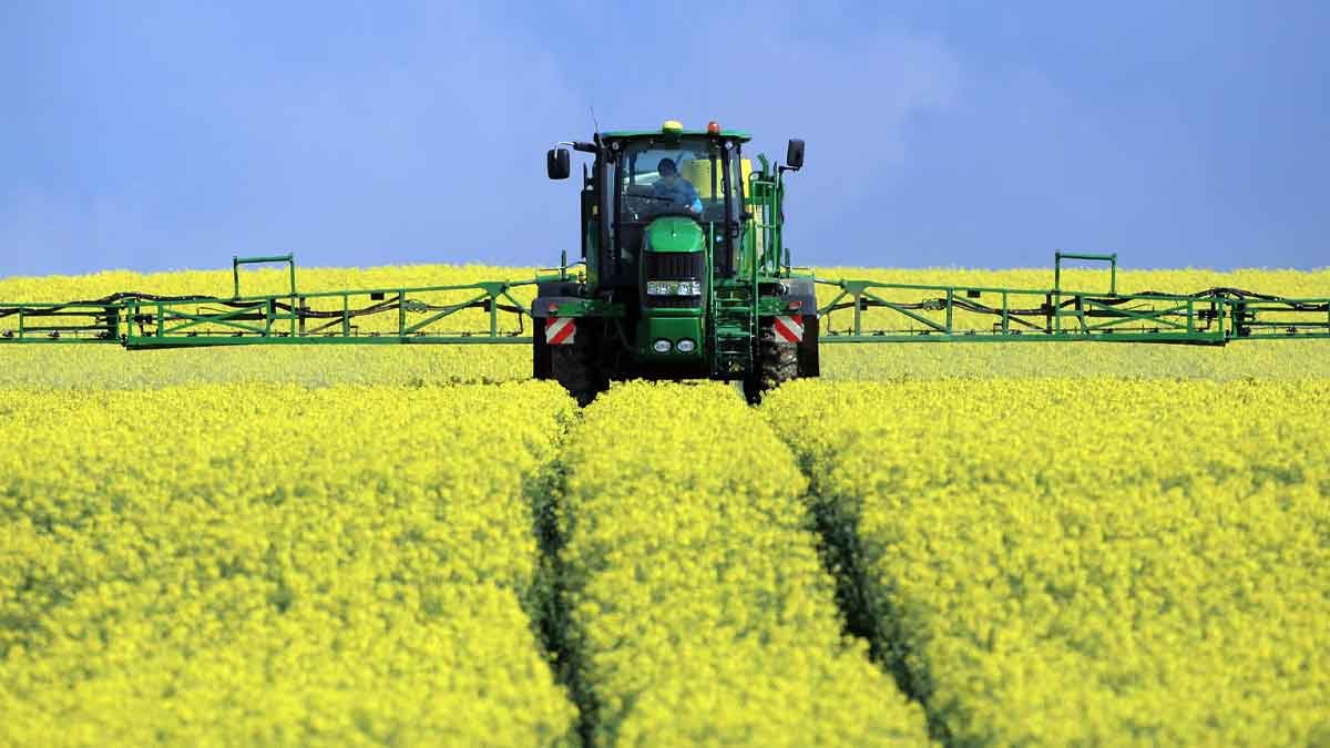 China Pakistan Oilseed
