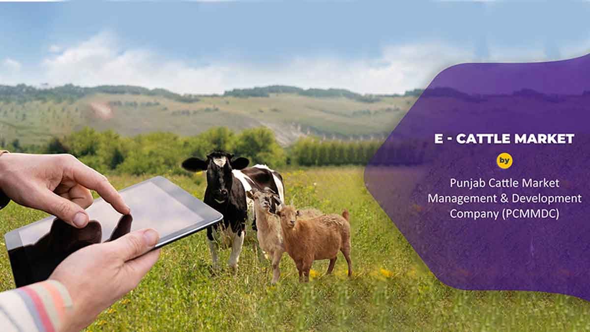 e-cattle