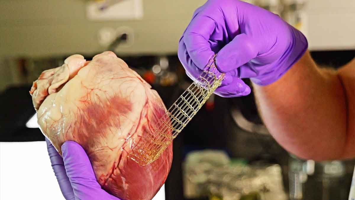 3d tissue