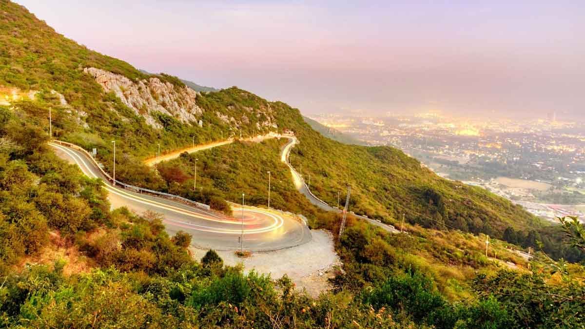 Margalla Hills Trees