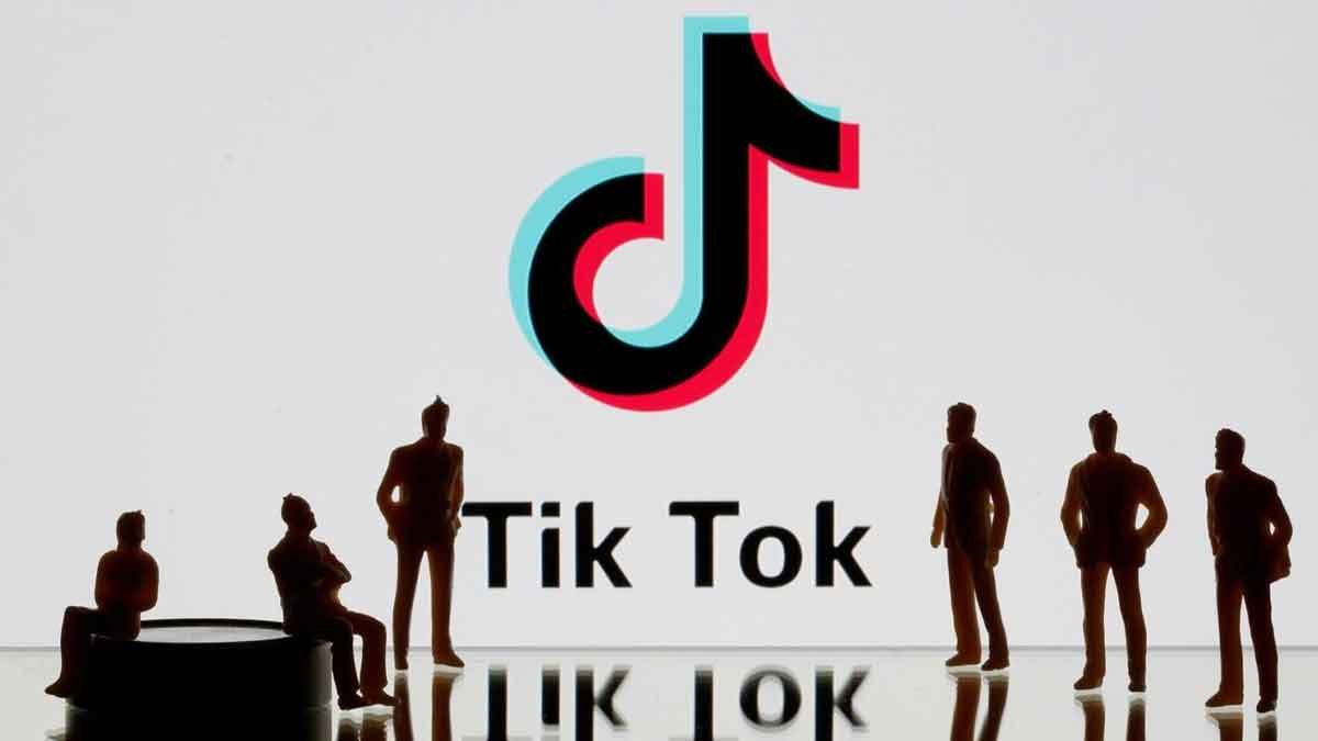 TikTok Pakistan Video Removals