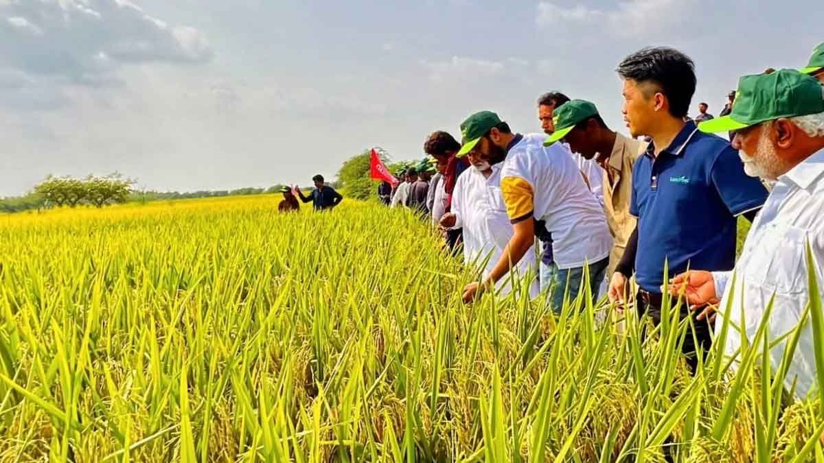 Pakistan-China Agriculture Training Program