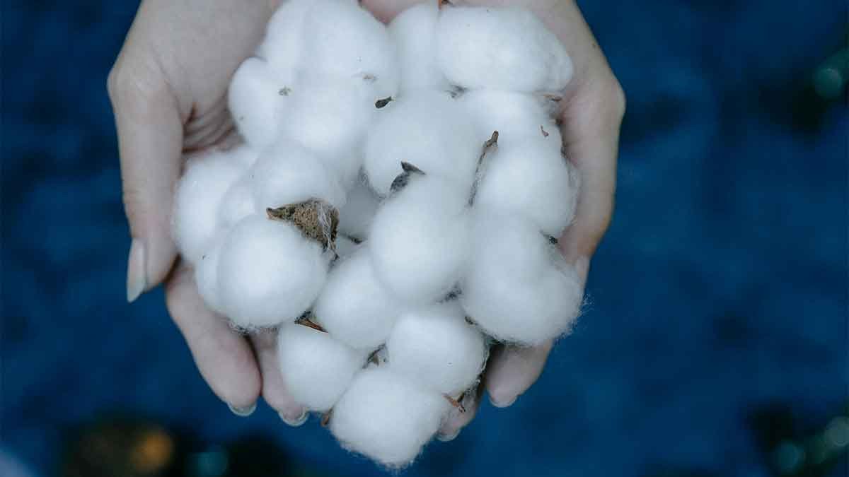 cotton