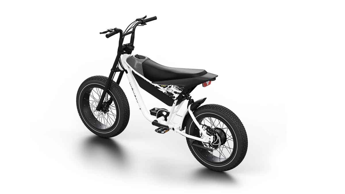 electric bike