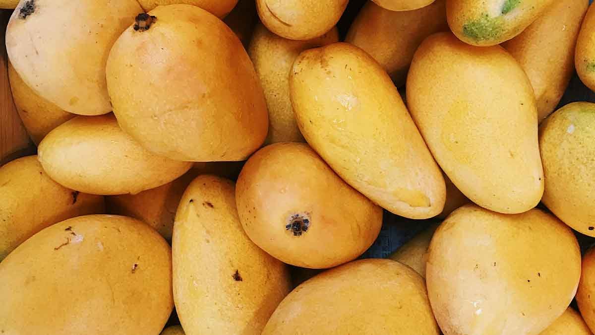 mangoes