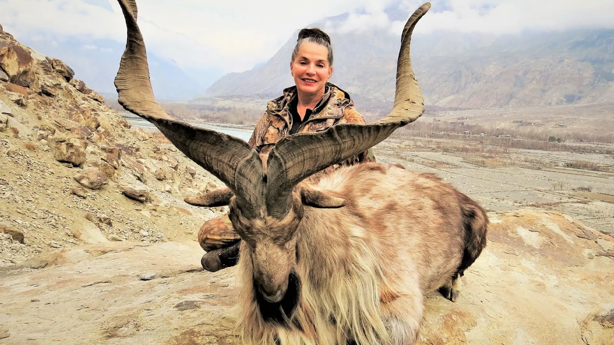 markhor