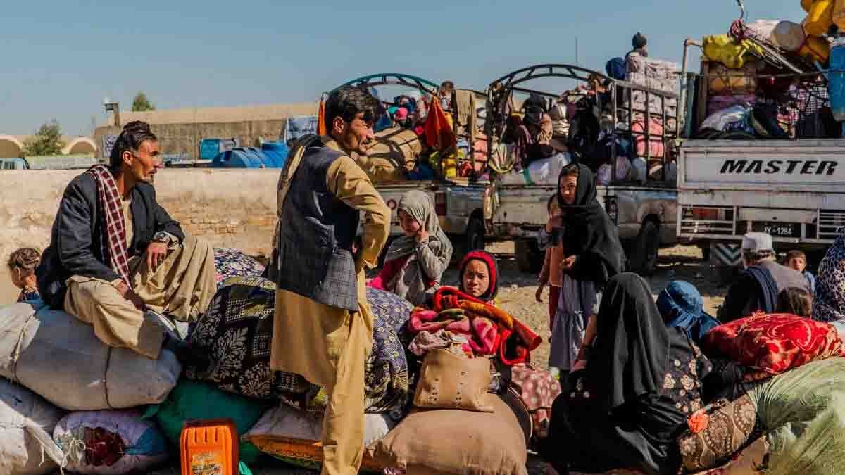 afghan