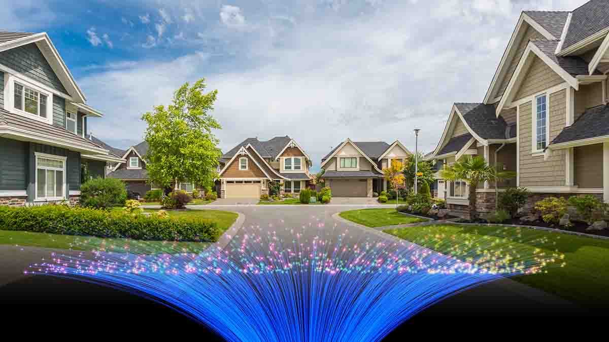 Fiber Optic Connectivity