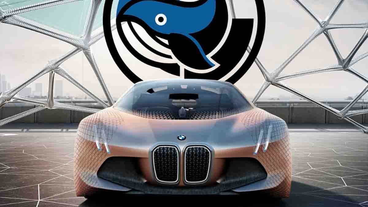 bmw deepseek