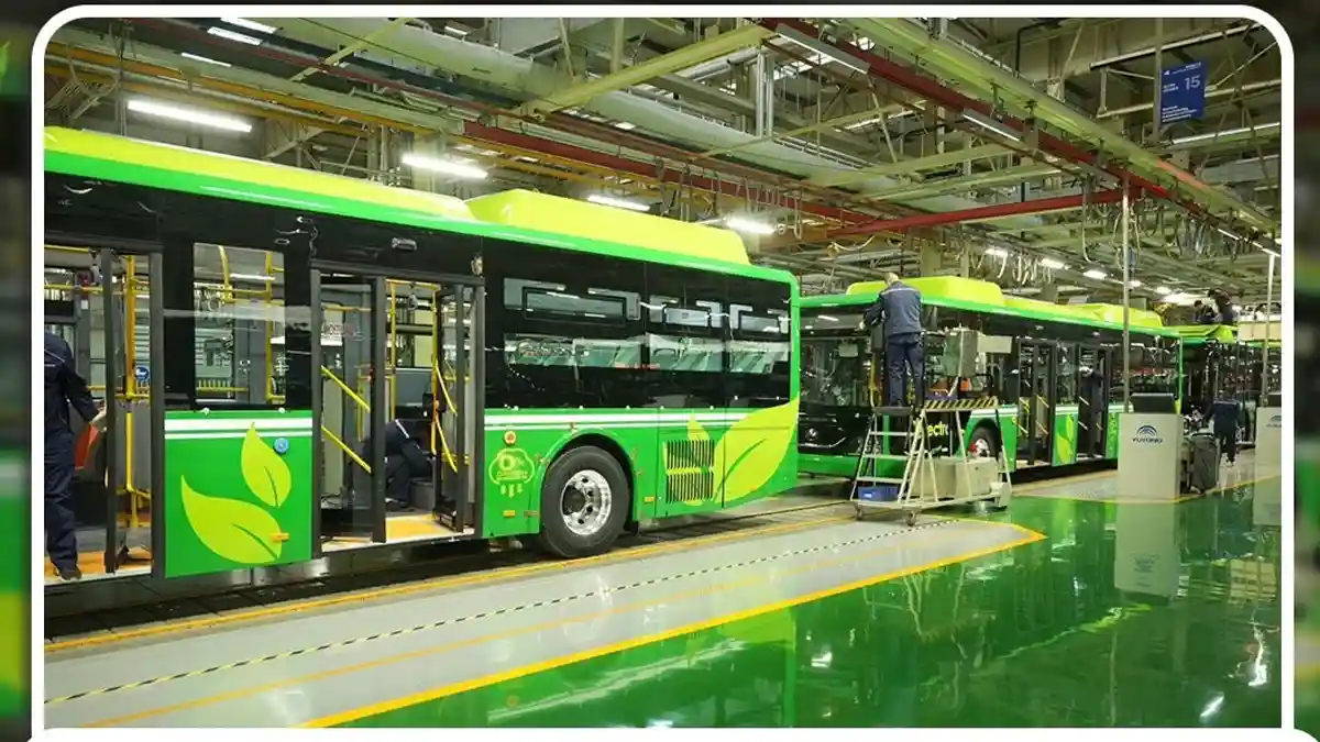 electric buses