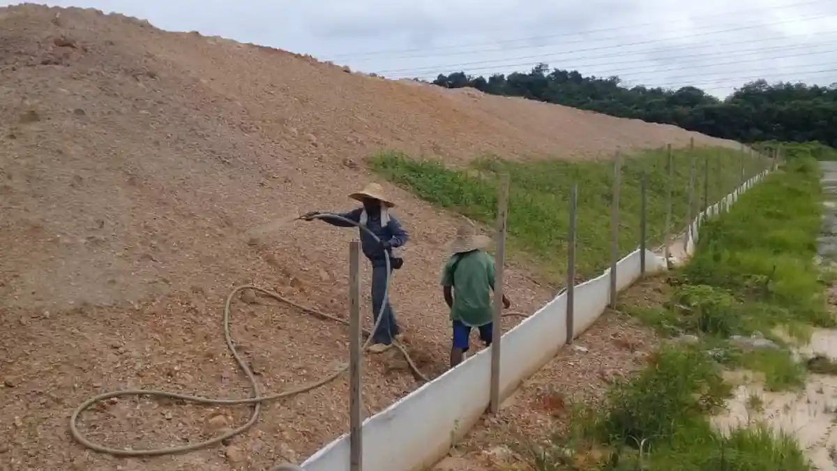 hydroseeding
