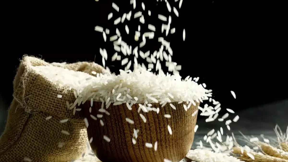 rice