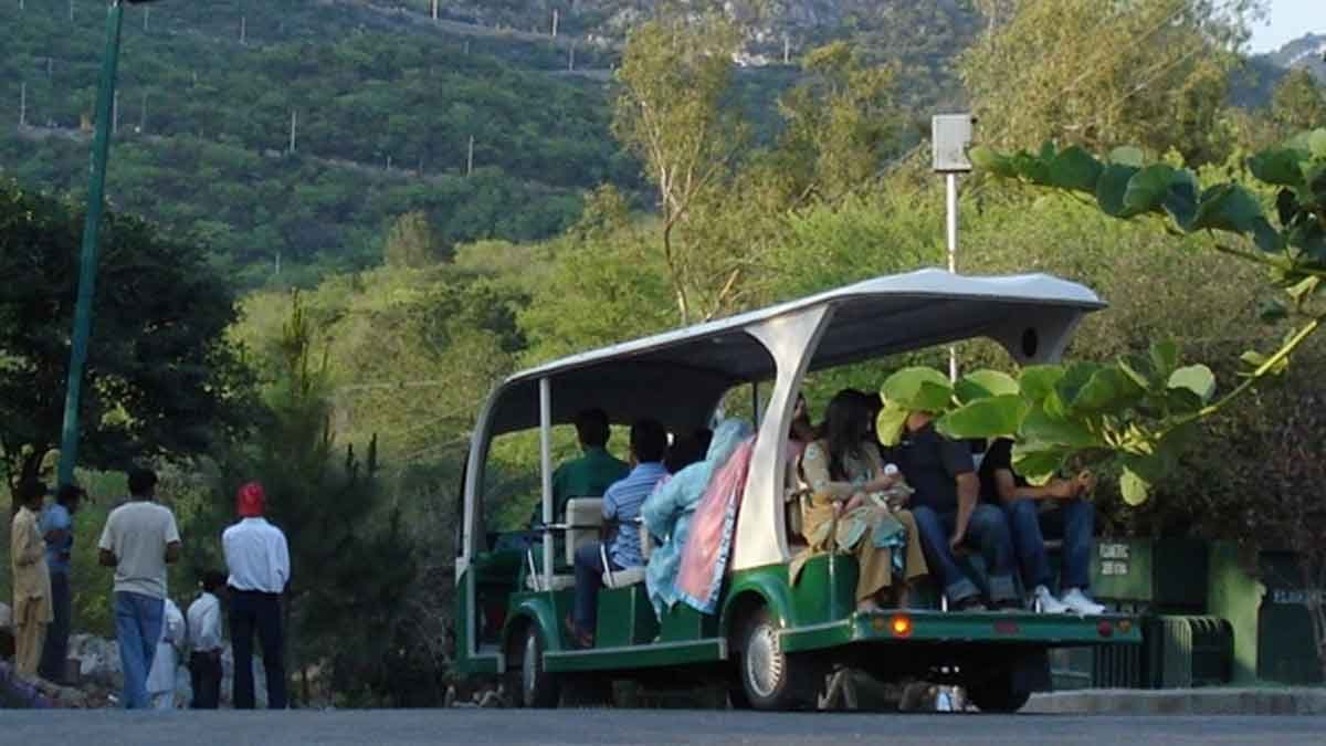 electric cart