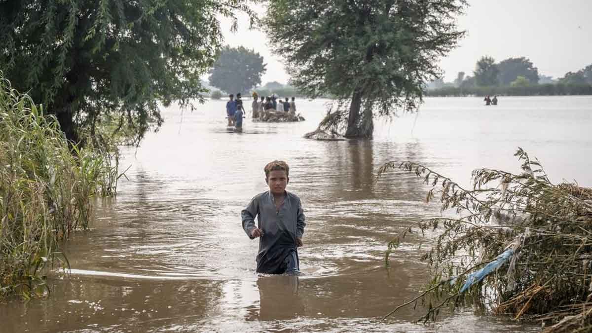 flood