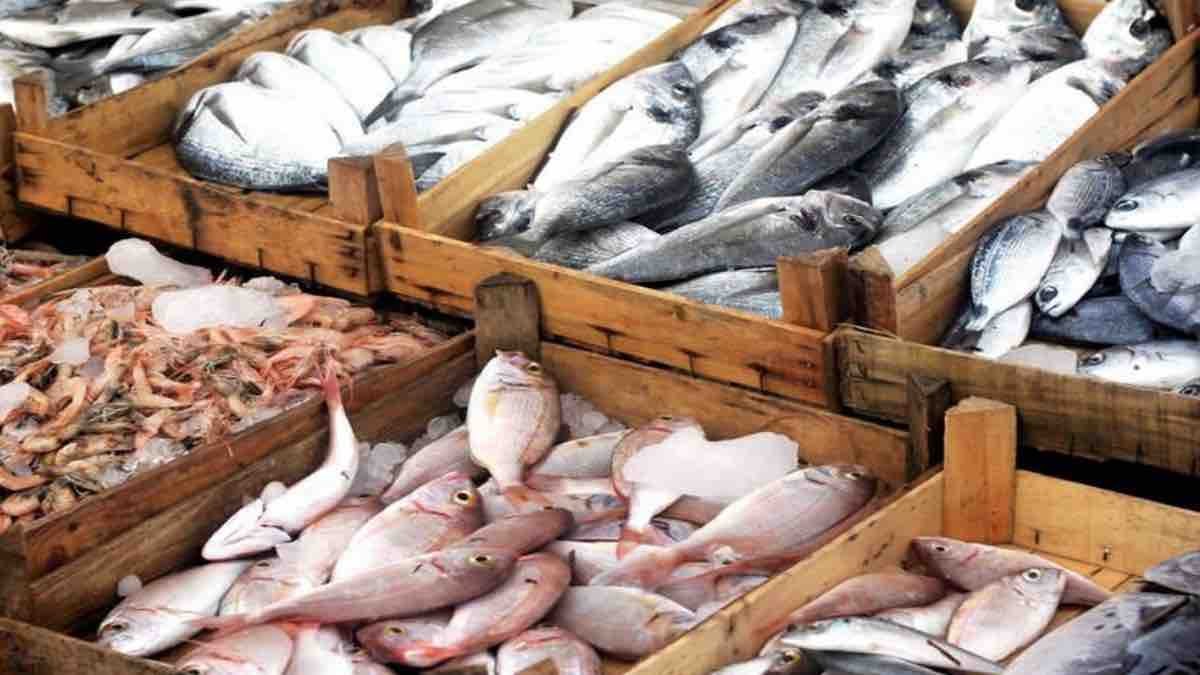seafood