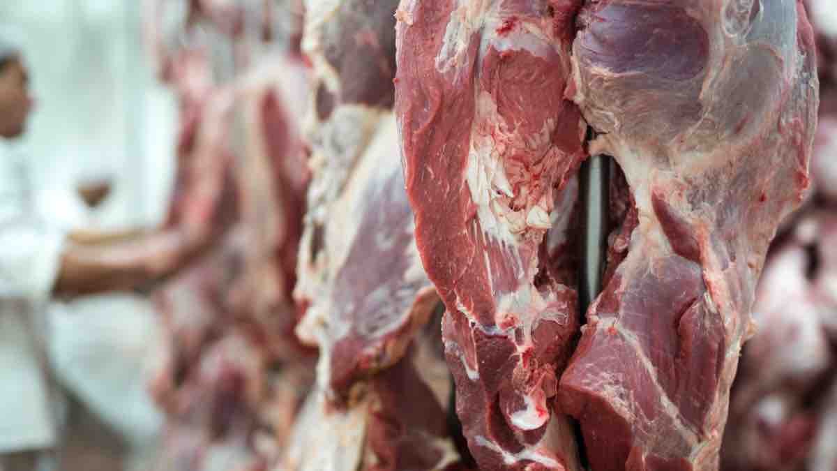 slaughterhouse